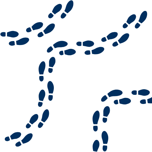 The Way To Financial Freedom